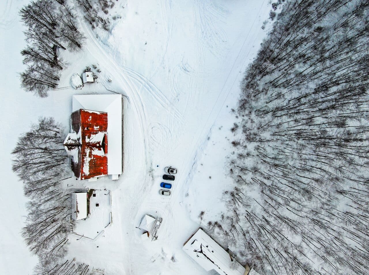 Skijanje na Vučju – porodična zimska destinacija nadomak Nikšića