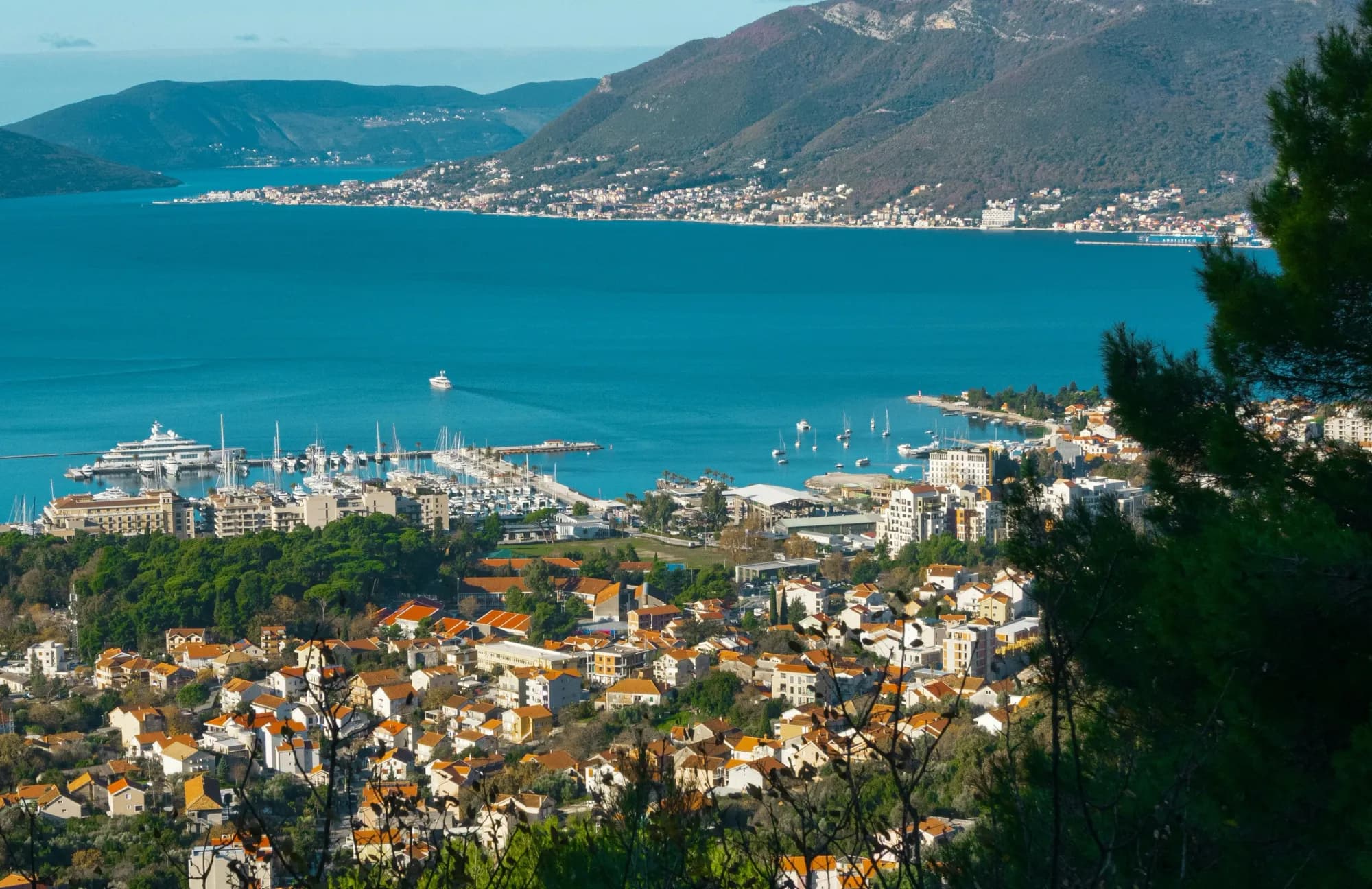 Tivat
