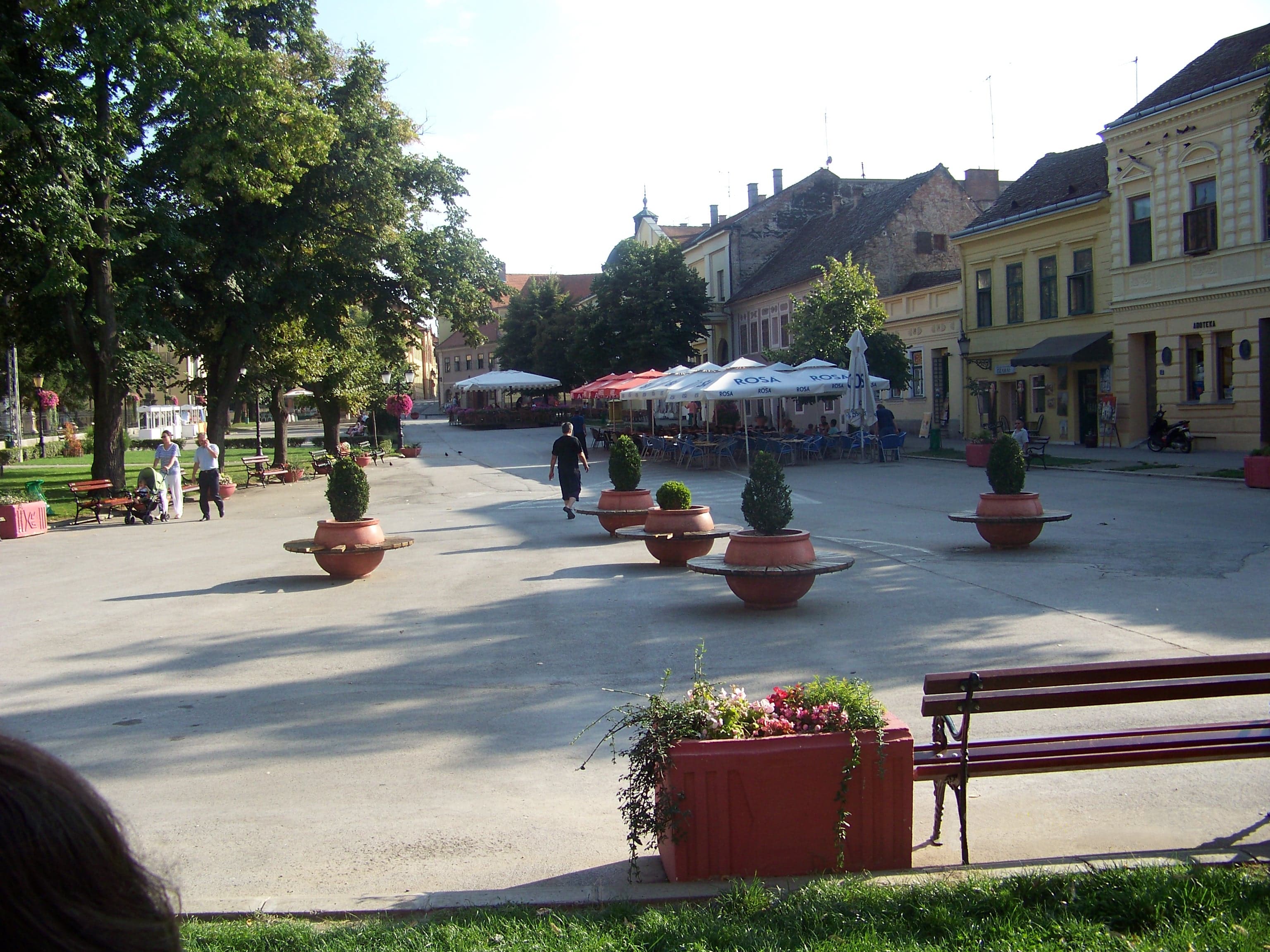 Stari grad i tvrđave Gusinja