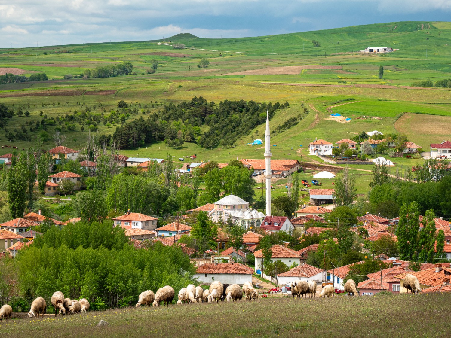 Berane galerija 2