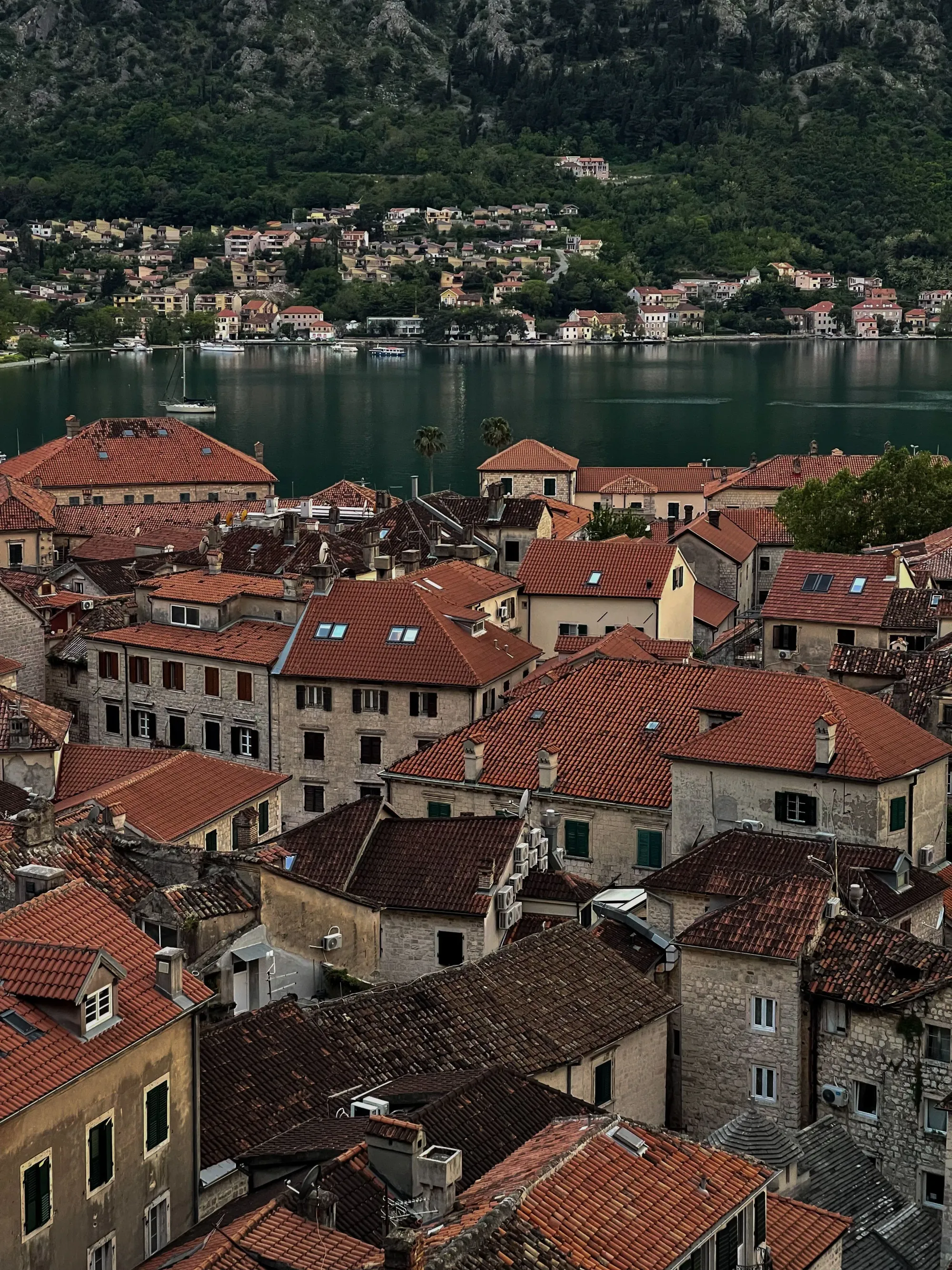 Kotor galerija 1