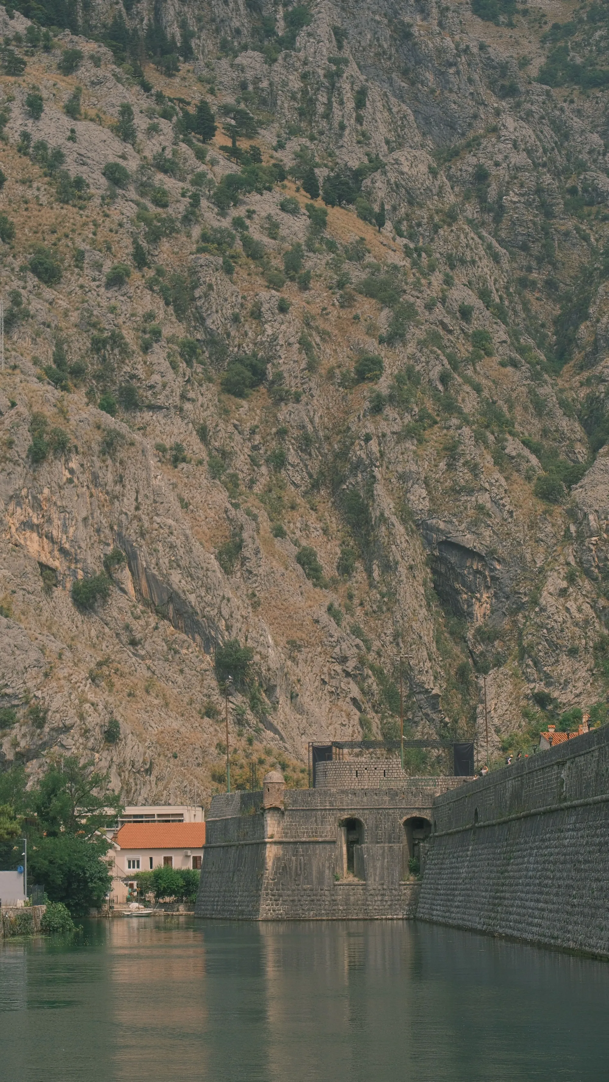 Kotor galerija 6