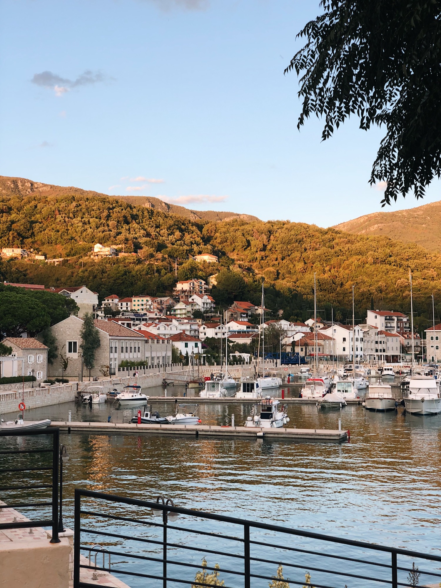 Herceg Novi galerija 5
